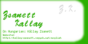 zsanett kallay business card
